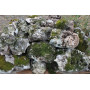 Ландшафтный камень Известняк со мхом (фр. 100-500 мм.)